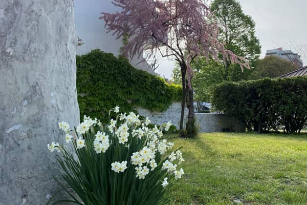 Offerta Primavera New
