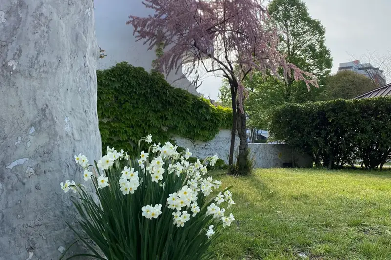 Offerta Primavera New